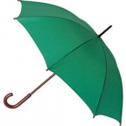 Зонт-трость механический с деревянной ручкой, зеленый